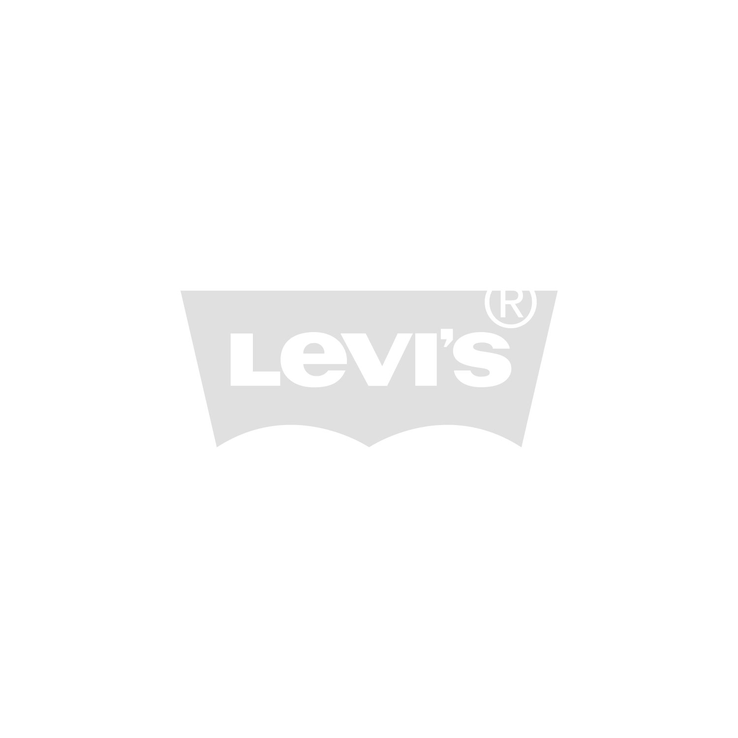 levis 295020077